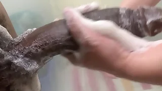 Off colour Petite Blonde Statute Sister Called Statute Brother To Bring Her A Towel In The Bathroom And This Happened